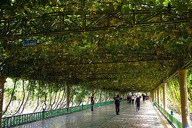 《刺客信条》原本是三部曲 但系列太成功导致官方杀死了戴斯蒙德